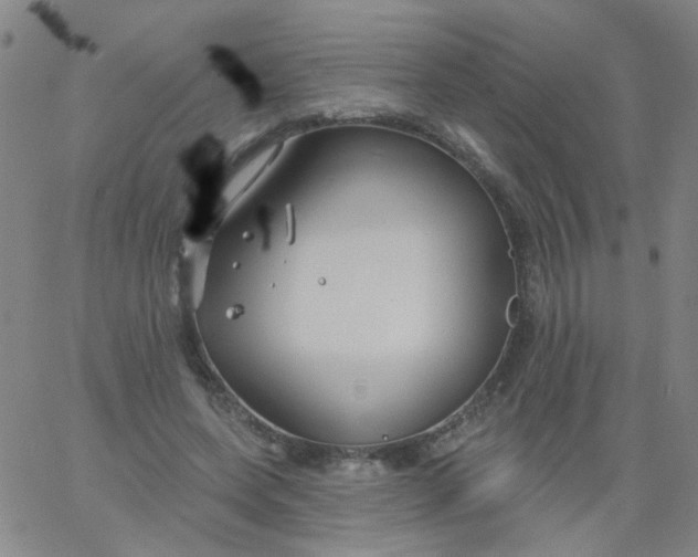 X0000061750543200512231528