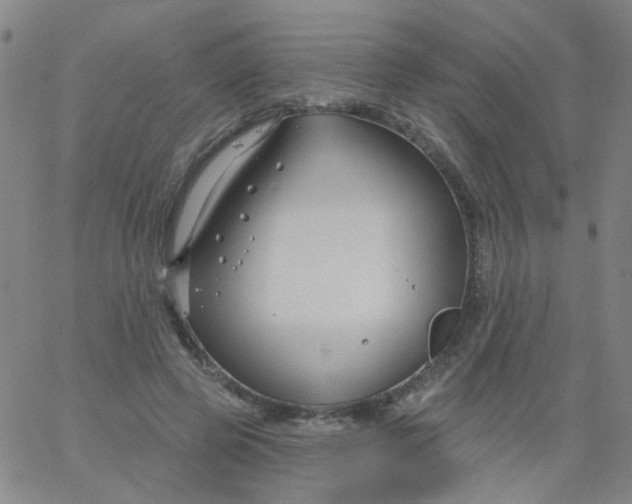 X0000061750545200512231528