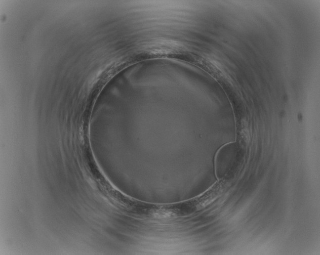 X0000061750547200512231528