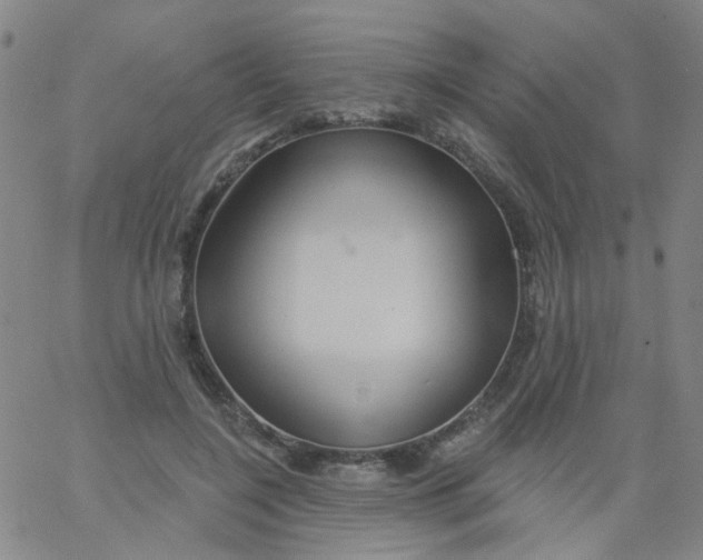 X0000061750548200512231528