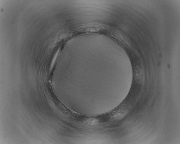 X0000061750551200512231528