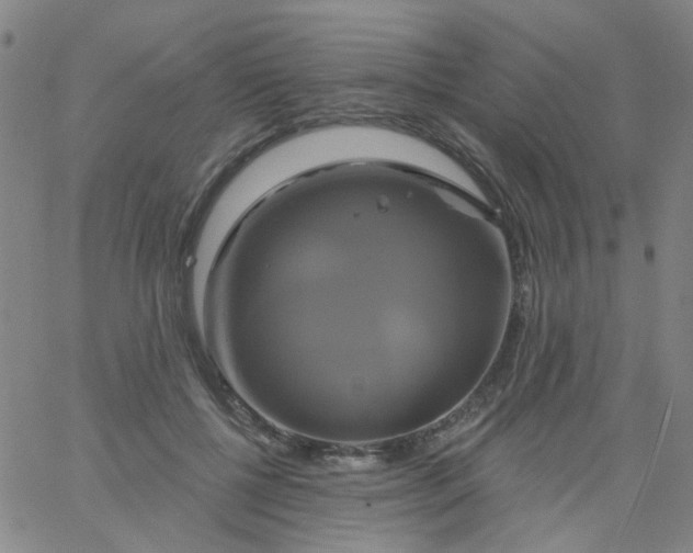 X0000061750552200512231528