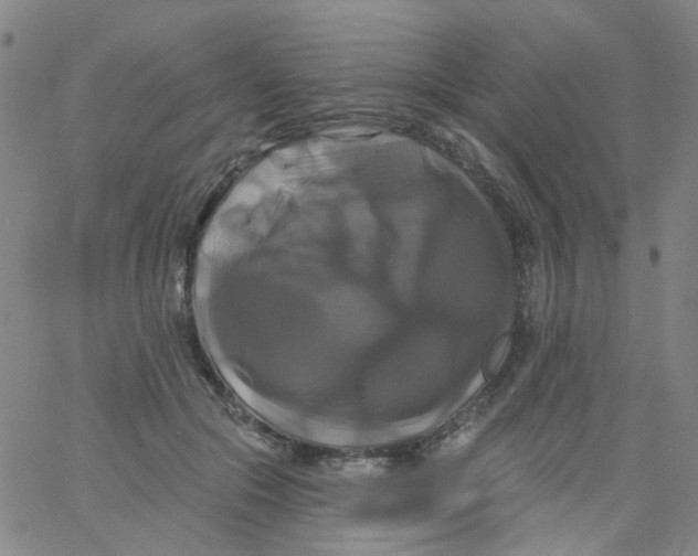 X0000061750553200512231528