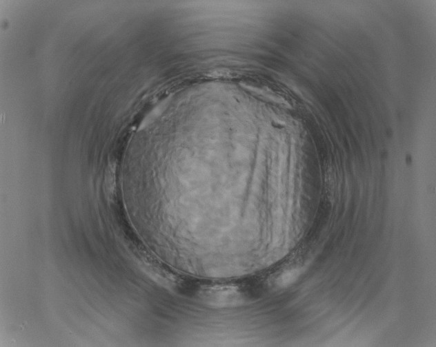 X0000061750554200512231528