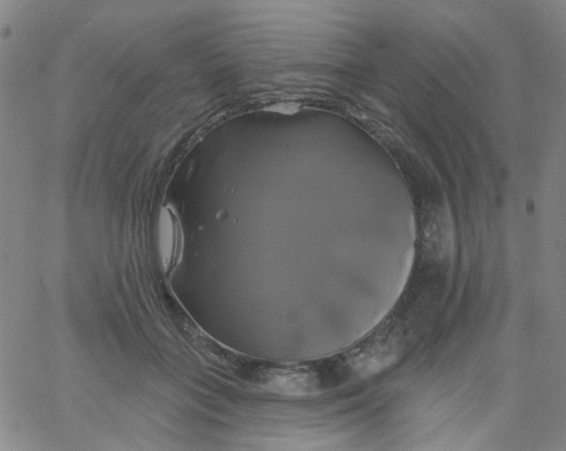 X0000061750555200512231528