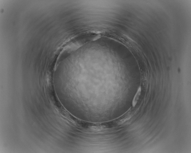 X0000061750556200512231528