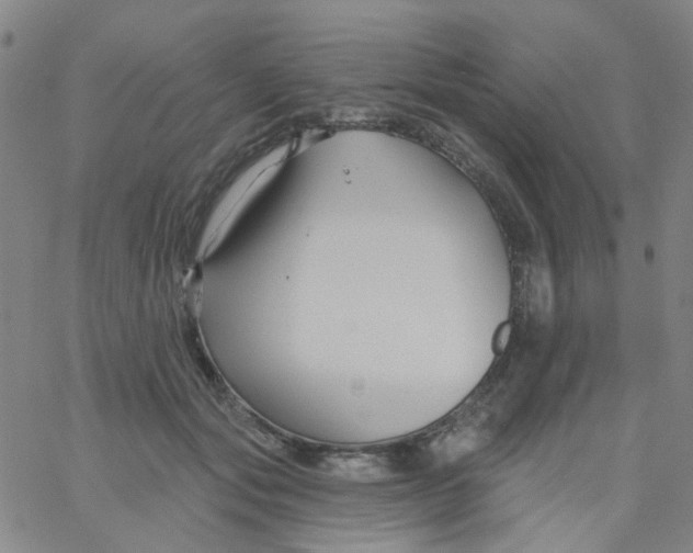 X0000061750557200512231528