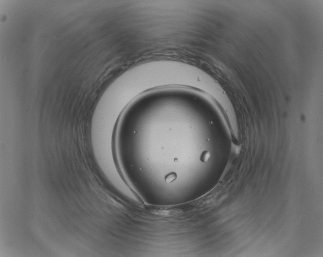 X0000061750558200512231528