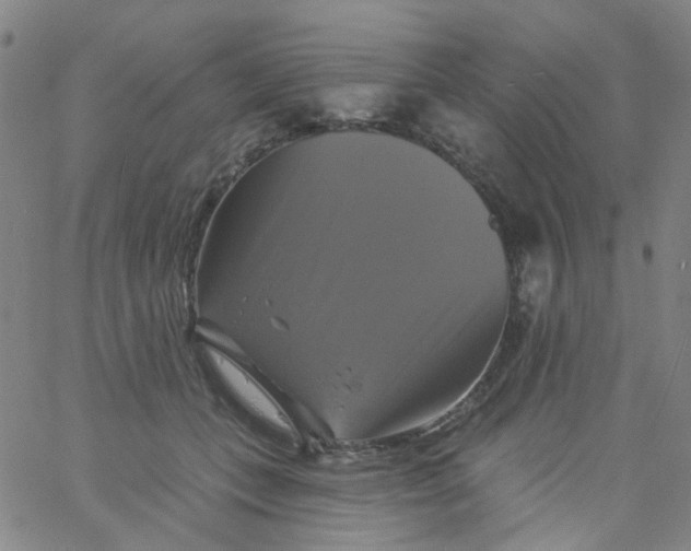 X0000061750559200512231528