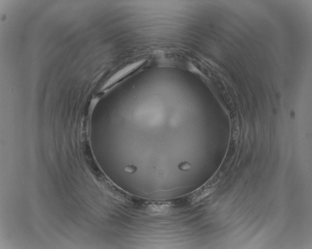 X0000061750560200512231528