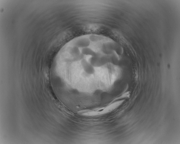 X0000061750561200512231528