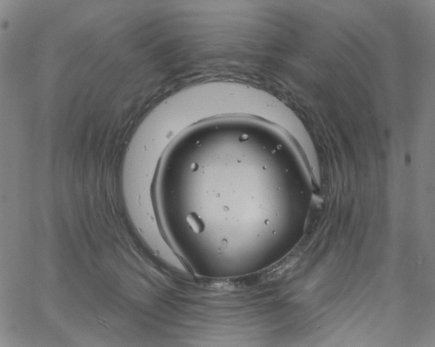 X0000061750562200512231528