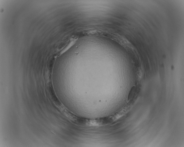 X0000061750565200512231528