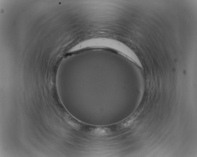 X0000061750566200512231528