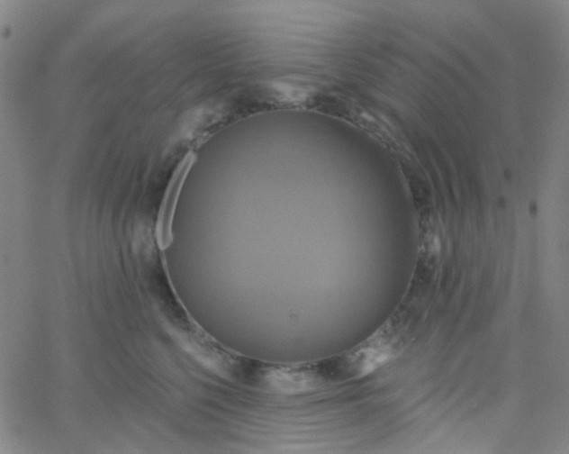 X0000061750568200512231528