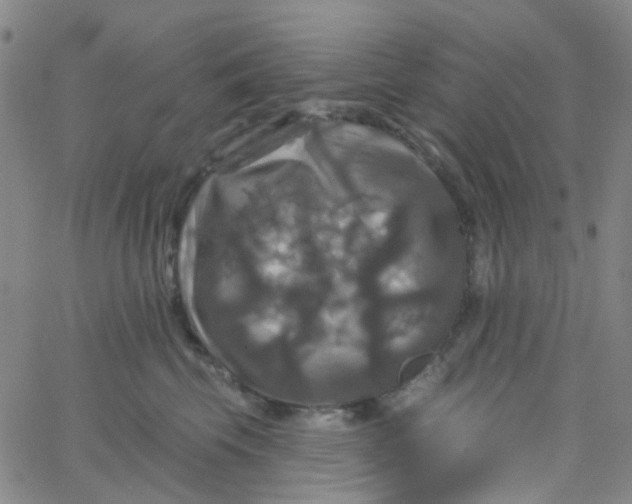 X0000061750569200512231528