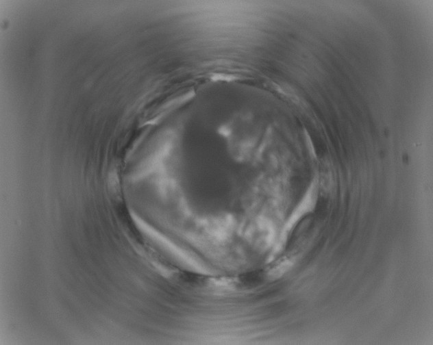 X0000061750573200512231528