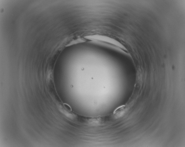 X0000061750574200512231529