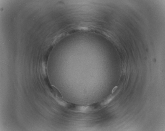 X0000061750575200512231529