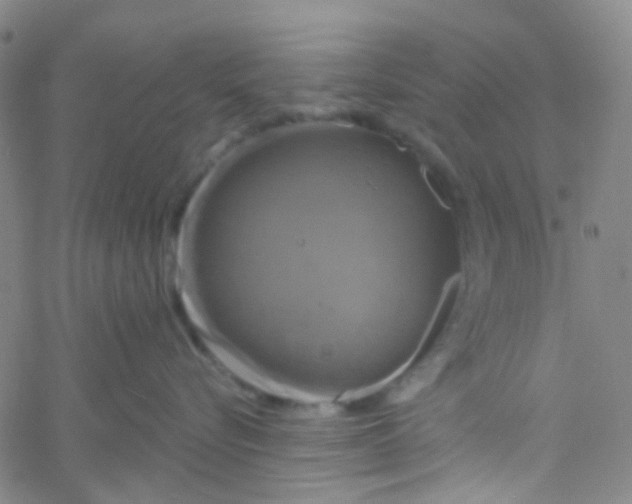 X0000061750576200512231529