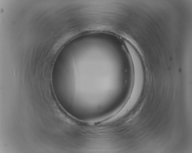 X0000061750577200512231528