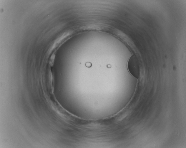 X0000061750578200512231528