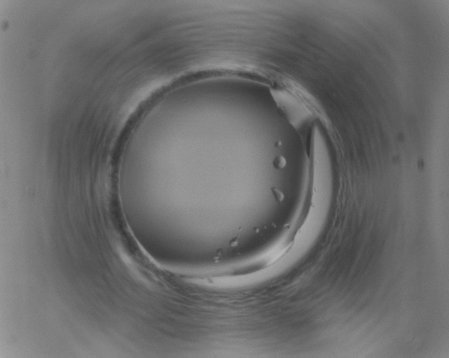 X0000061750580200512231528