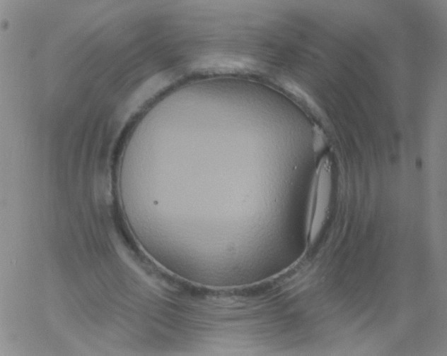 X0000061750582200512231528