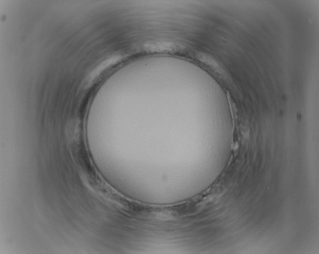 X0000061750583200512231528