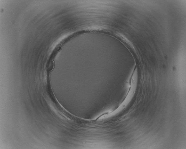 X0000061750584200512231528