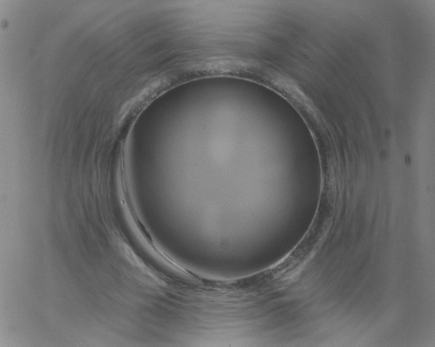 X0000061750585200512231528