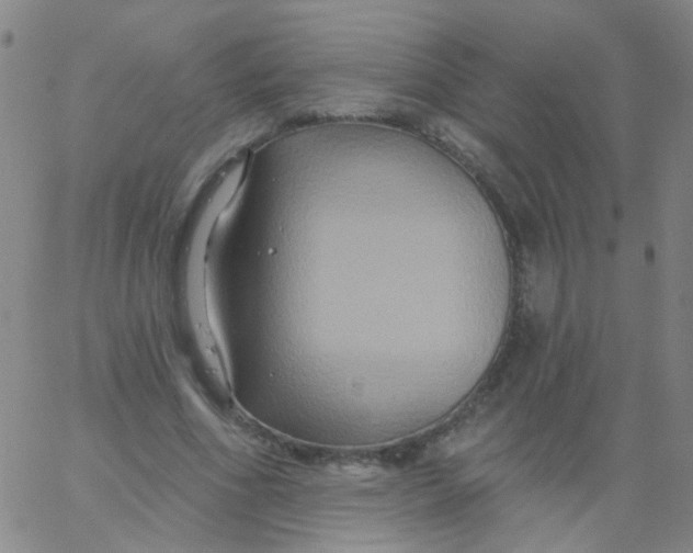 X0000061750586200512231528