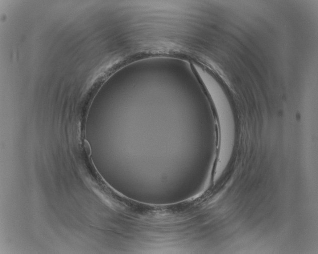 X0000061750589200512231528