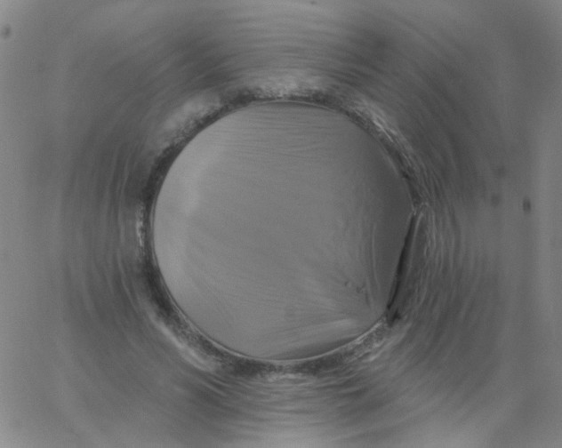 X0000061750590200512231528