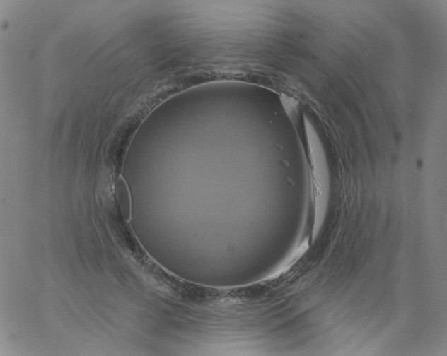 X0000061750593200512231527