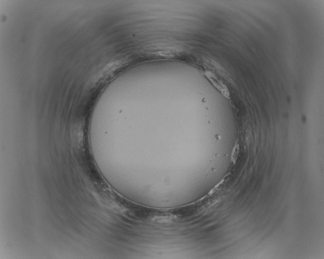 X0000061750595200512231527