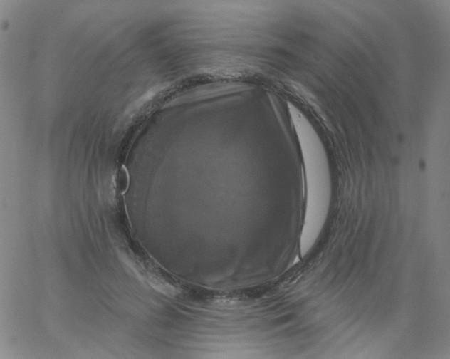 X0000061750596200512231527