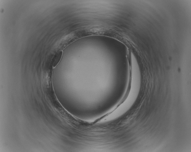 X0000061750597200512231527