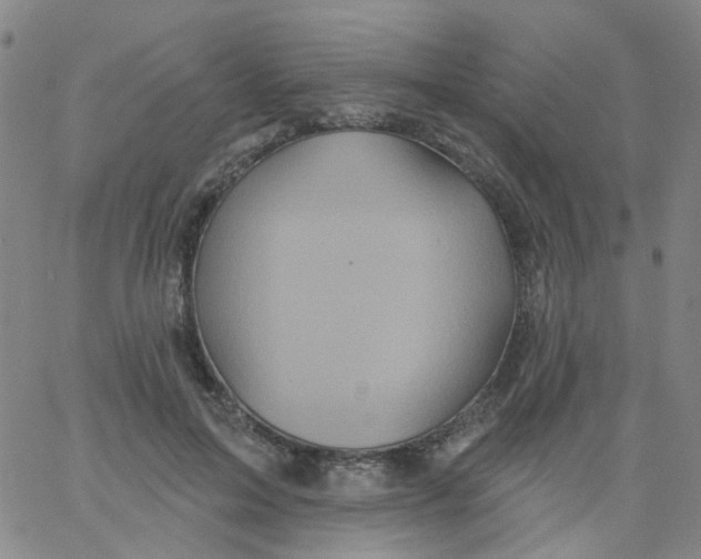 X0000061750599200512231527