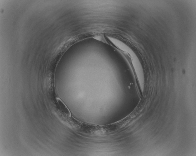 X0000061750600200512231527