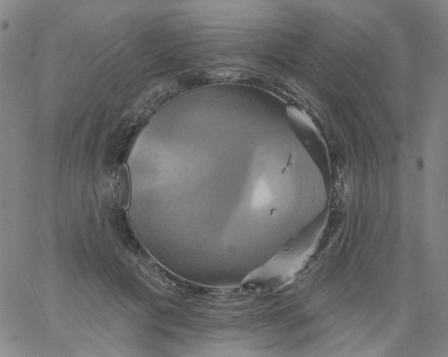 X0000061750601200512231527