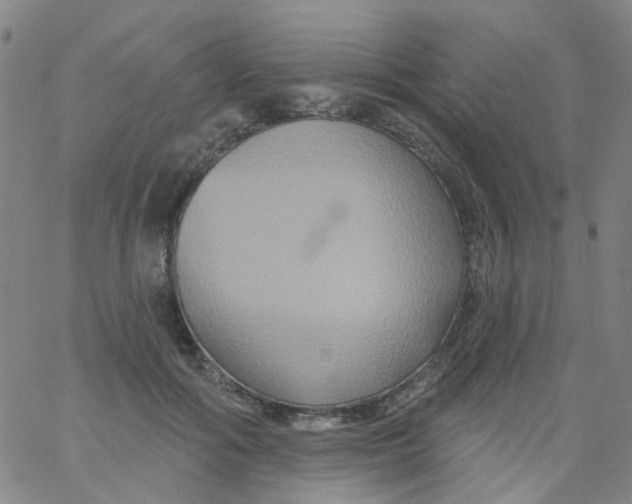 X0000061750602200512231527