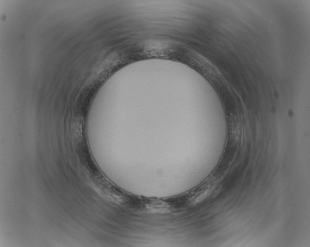 X0000061750603200512231527