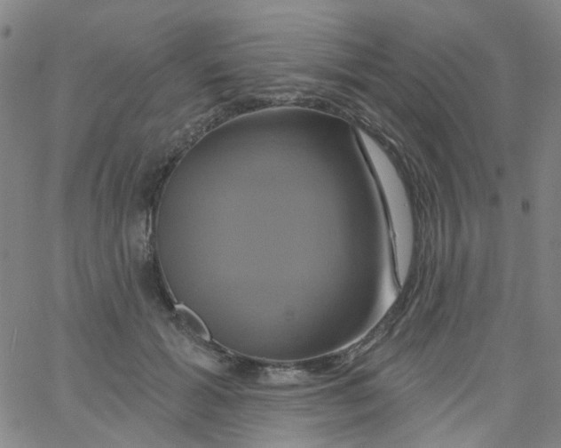 X0000061750605200512231527