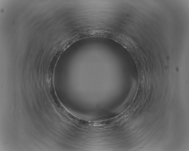 X0000061750607200512231527