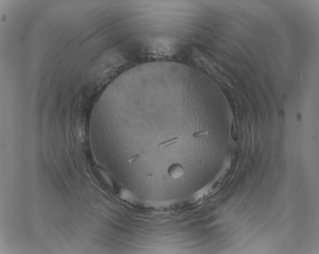 X0000061750608200512231527