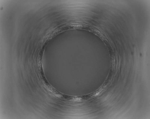 X0000061750609200512231527