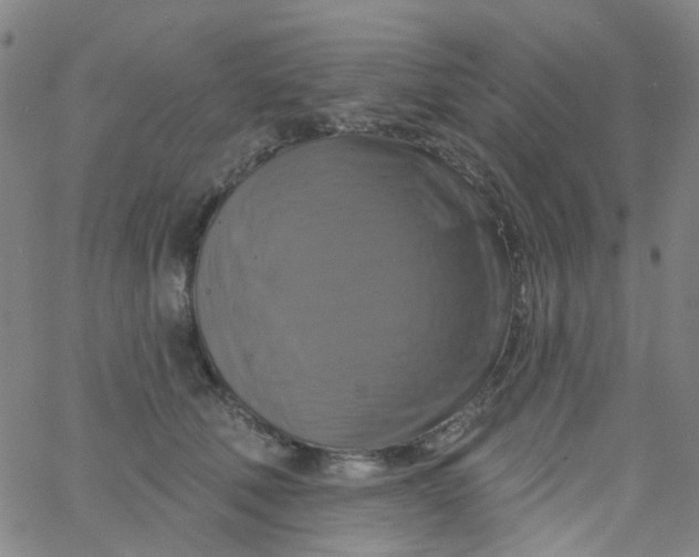 X0000061750610200512231527