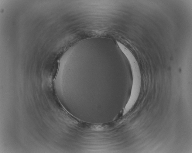 X0000061750613200512231527