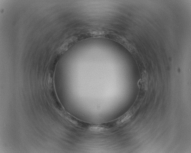 X0000061750614200512231527